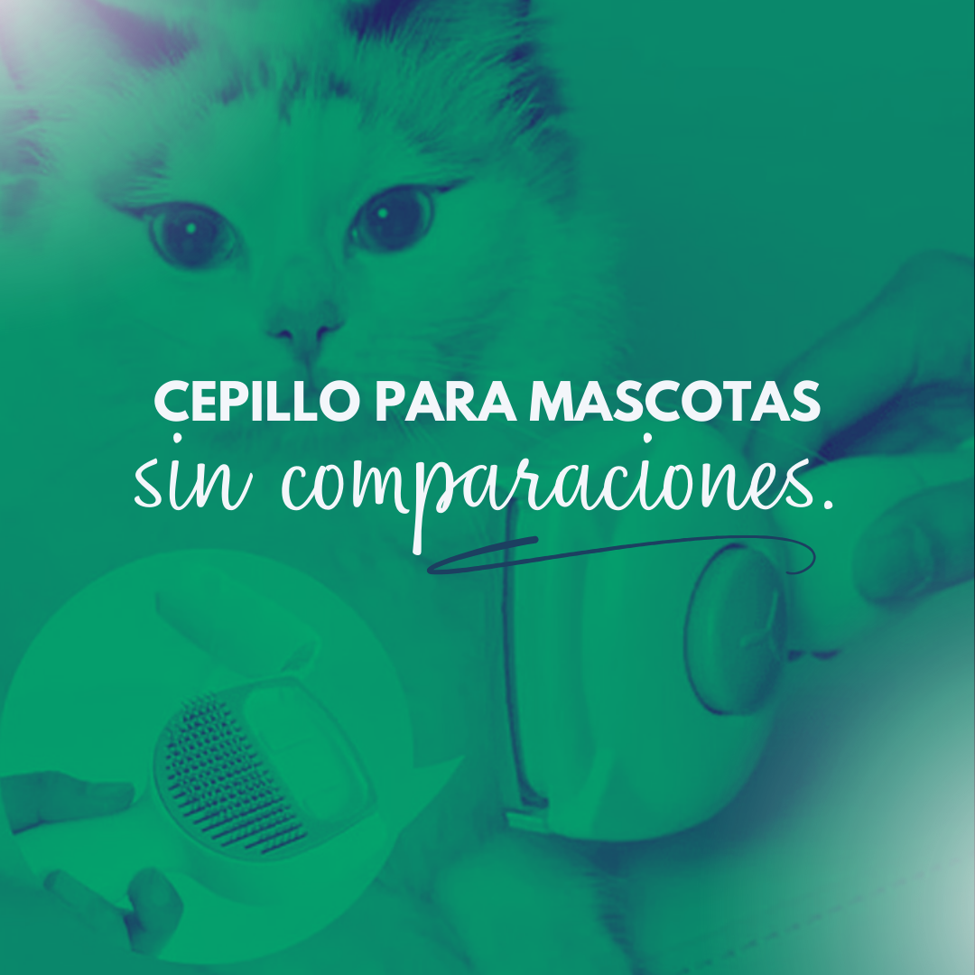 CEPILLO PARA MASCOTAS TIPO VORTICE